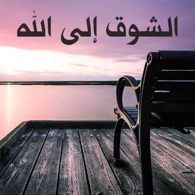 Arabic Insight For Living