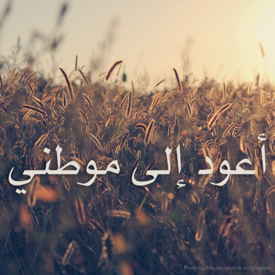 Arabic Insight For Living