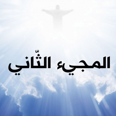 Arabic Insight For Living