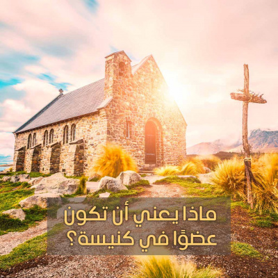 Arabic Insight For Living