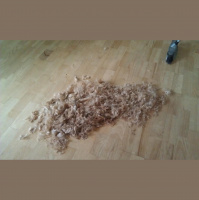 One of the realities of owning a dog