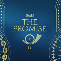 The Promise
