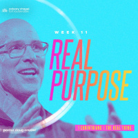 Real Purpose