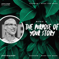 The Purpose of your Story