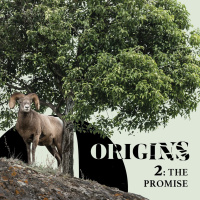 Receiving the Promises of God