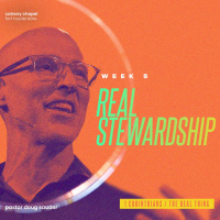 Real Stewardship
