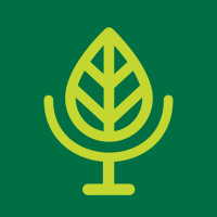 Revisiting: Houseplants, Green Spaces,  Our Health