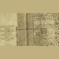 Plantationocene
