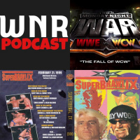 WNR203 WWE vs WCW SuperBrawl 99