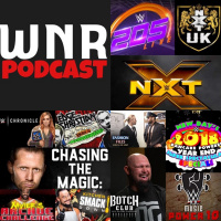WNR199 WWE NETWORK REVIEW JAN