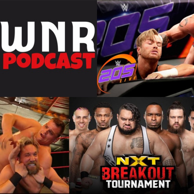 Wwe Network Review