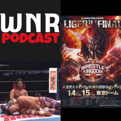 Wwe Network Review