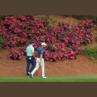 Weekly Golf Podcast: 4th April - 81st Masters Preview