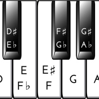 C -Sharp or B-Flat ~ What key is your life in?