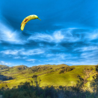 My Friends Are Telling Me They Were Scared I Was Going To Die