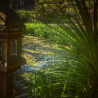 Tasteless Haiku Redux