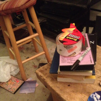 moving, packing, what would david bowie do?, the pet rock conundrum