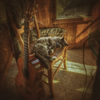 Hampstead Incident in the right key