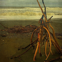 Alpha Ralpha Boulevard II