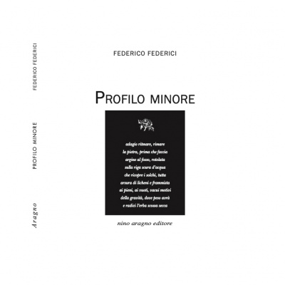 Federico Federici