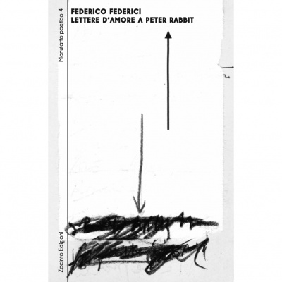 Federico Federici