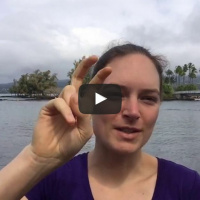 0022 Greetings from Hawaii: How to feel fresh, awake and purified