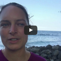 0026 How to use Ho’oponopono with powerful essential oils to forgive and let go