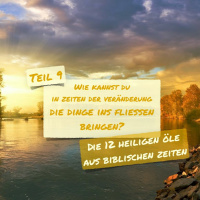 0053 Wie Kannst Du In Zeiten Der Veränderung Die Dinge Ins Fließen Bringen?