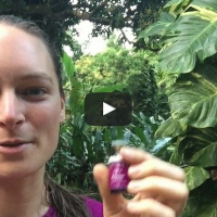 0027 How to release anger and frustration fragrantly