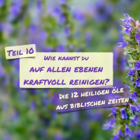 0054 Wie Kannst Du Auf Allen Ebenen Kraftvoll Reinigen?