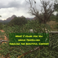 0006 What I Found For You While Travelling Through The Beautiful Canyons
