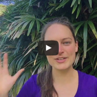 0028 The Secret of Thieves or How to strengthen your whole wellbeing