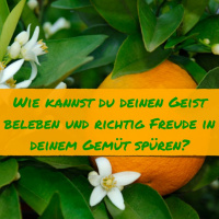 0049 Wie Kannst Du Deinen Geist Beleben Und Richtig Freude In Deinem Gemüt Spüren?