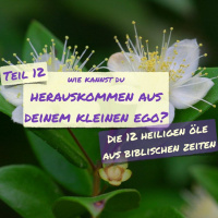 0056 Wie Kannst Du Herauskommen Aus Dem Kleinen Ego?
