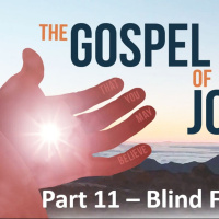 The Gospel of John - Part 11 - Blind Faith