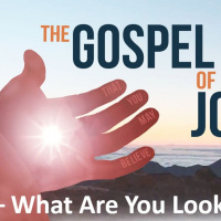 The Gospel of John - Part 5 - What Are You Looking For