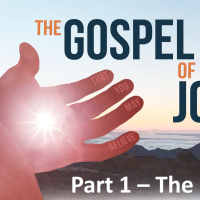 The Gospel of John - Part 26 - The Blind