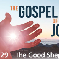 The Gospel of John - Part 29 - The Good Shepherd
