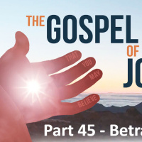 The Gospel of John - Part 46 - Betrayal