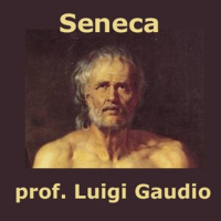 MP3, Gli schiavi sono uomini - paragrafi 10-13 della Lettera n.47 a Lucilio di Seneca Classe VE lezione scolastica di Luigi Gaudio