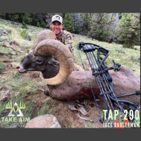 TAP-290 Bowhunting Big Horn Sheep with Jace Bausermen