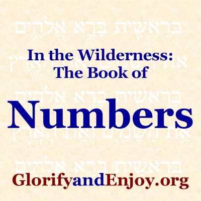 In the Widerness (The Book of Numbers) - Greg Cook