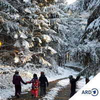 Mit allen Sinnen: Ein Wintertag im Waldkindergarten
