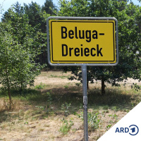 Abschaltfest in Gorleben - Wiedersehen im Beluga-Dreieck