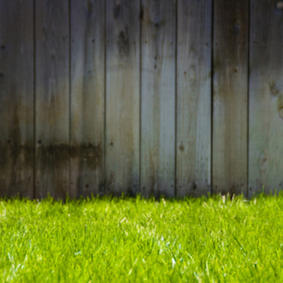 Turf Talk With Bruce Granger