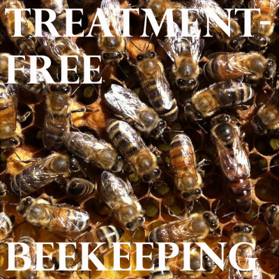 The Treatment-free Beekeeping Podcast