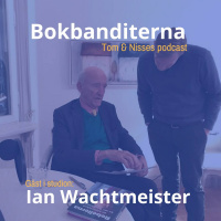 Intervju med Ian Wachtmeister