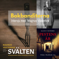Svälten - Intervju med Magnus Västerbro