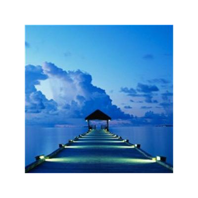 Motivation (the Art Of Motivation)