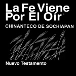 Chinanteco de Sochiapan Biblia (no dramatizada) - Chinanteco de Sochiapan Bible (Non-Dramatized)